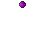 A Candied Sugarplum