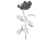 A Single Rose Offered Freely To The Time Lord's Daughter