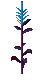A Blue Corn Stalk Given To You From Sabba The Sakkhran Farmer