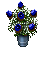 A Lovely Bouquet Of Cornflowers, Picked To Sanctify The Harvest