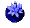 Star Flower