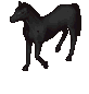 A Perfect Replica Of A Wild Nightmare