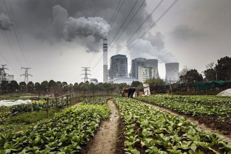 Asian Biomass Industrial Smoke