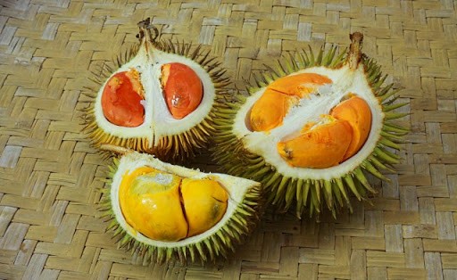 Durian Fruit: Waste Energy Source