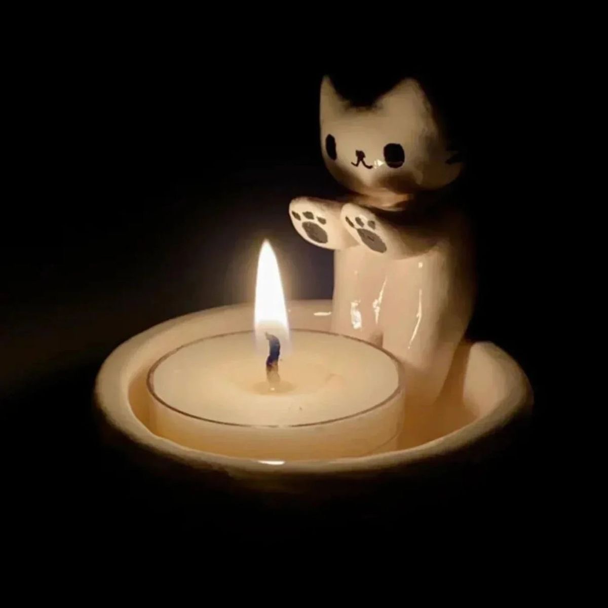 شمعدان القطة 🐈✨