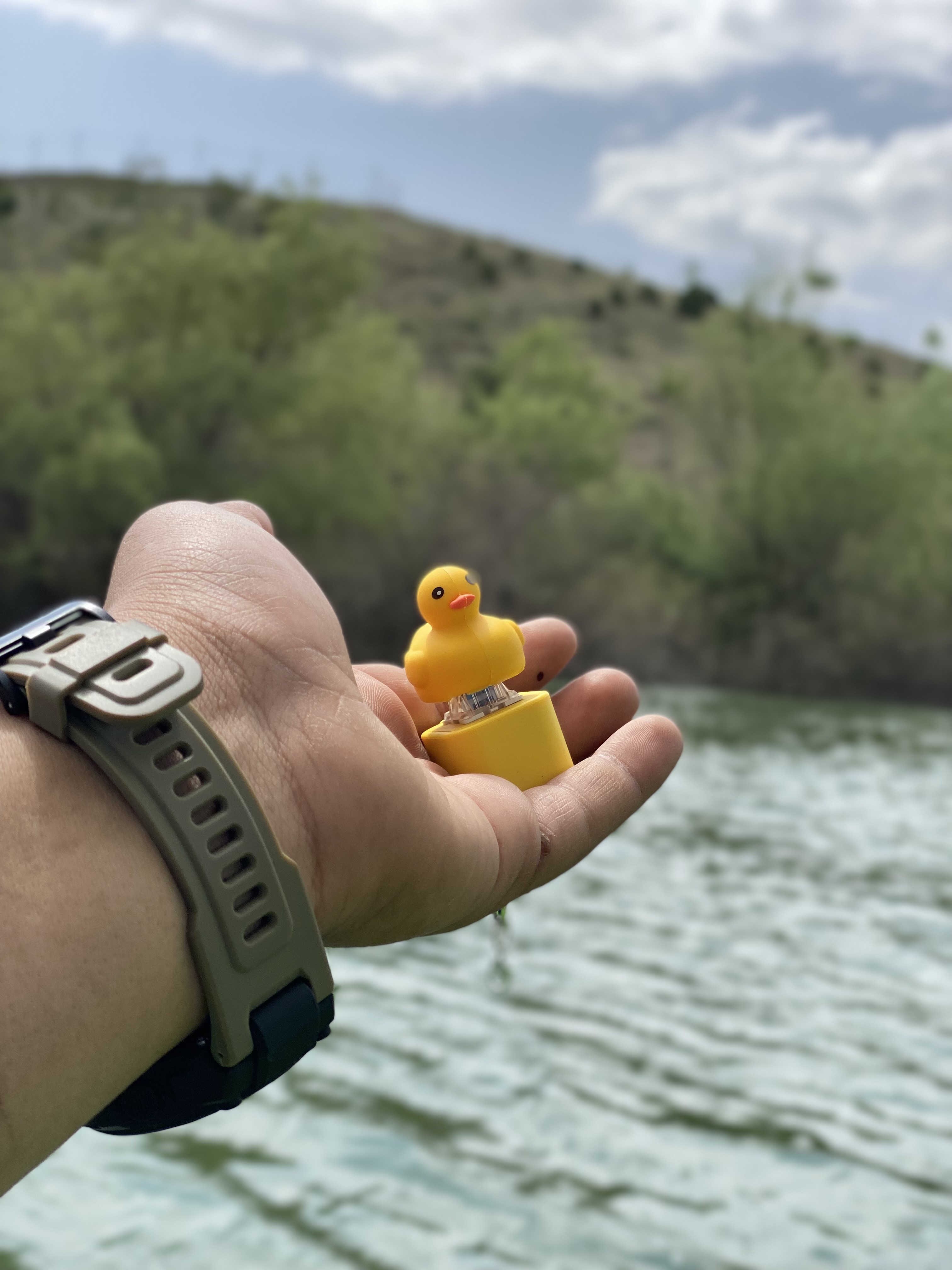 ميدالية البطة 🐥