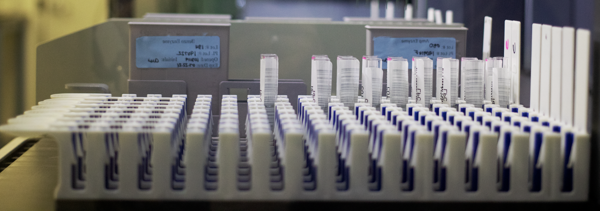 tray of tests