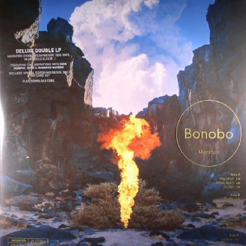 Bonobo