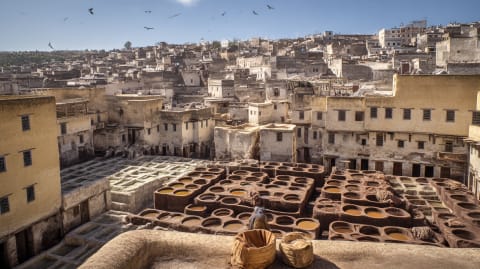 Chouara: The Oldest Tannery in the World