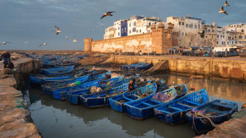 Essaouira Blue Boats