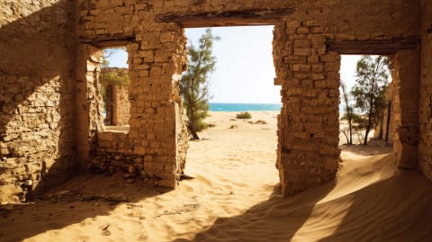 Draa Valley Palmeraie
