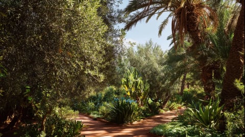 Souss-Massa National Park