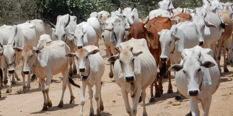 Gopashtami 2026