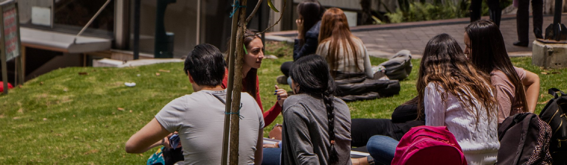 Sostenibilidad y crecimiento de matrícula en programas académicos