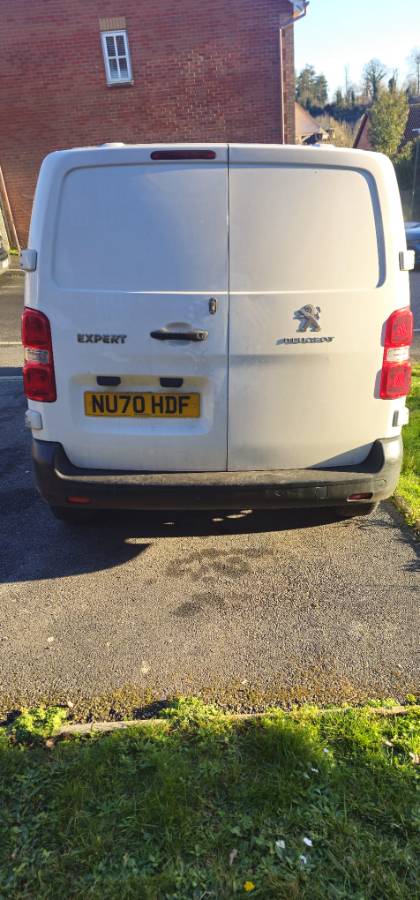 PEUGEOT EXPERT PROFESSIONAL L1 BLUEHDI