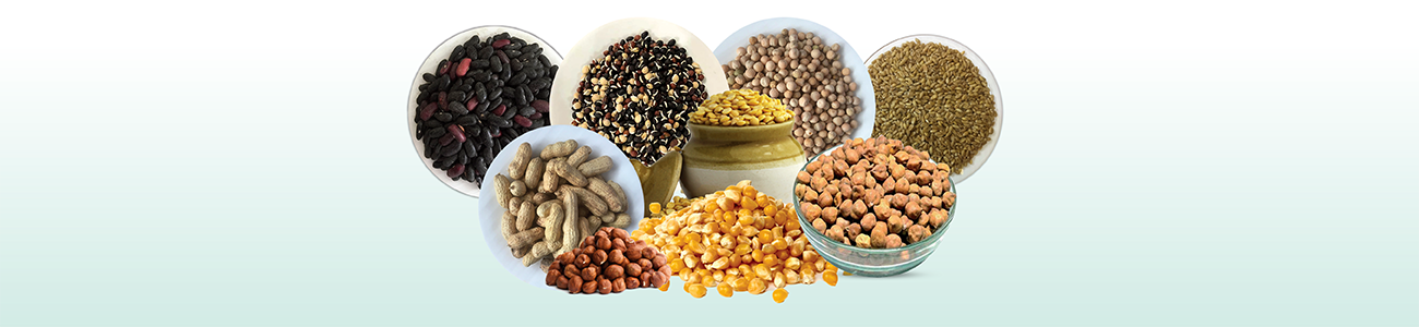 Beans & Seeds (Hill)