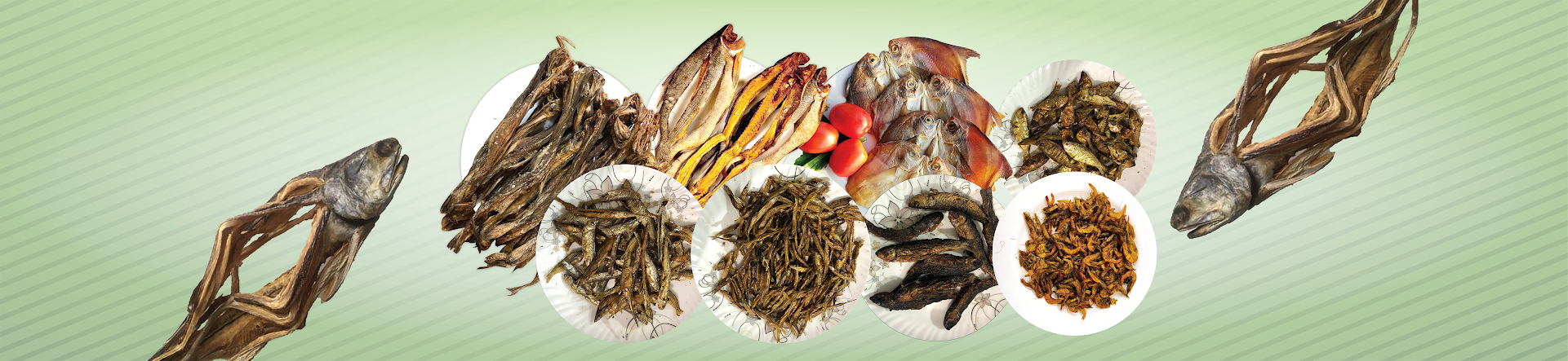 Dry Fish Organic
