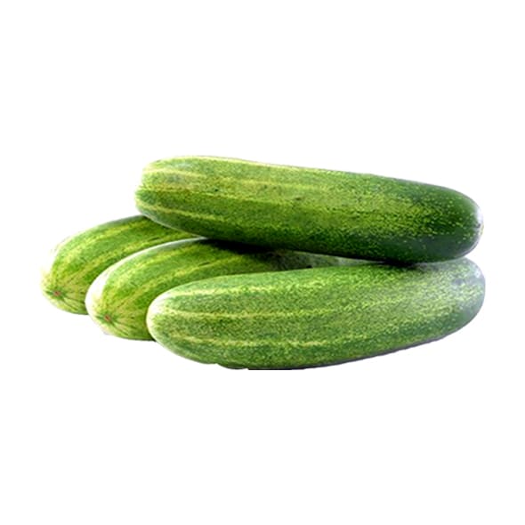 Cucumber (শসা) - Shosha-image-0
