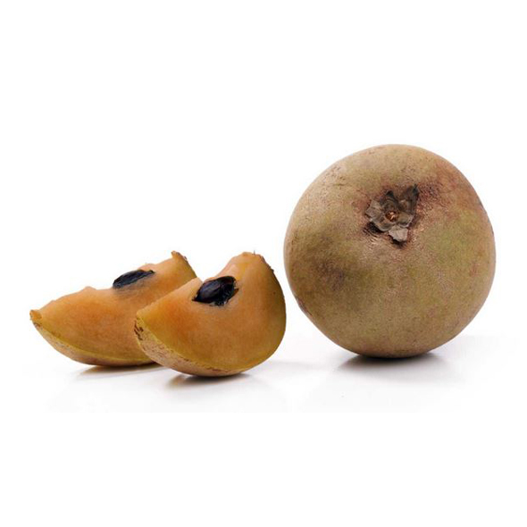 Sapodilla (Sofeda)-image-0