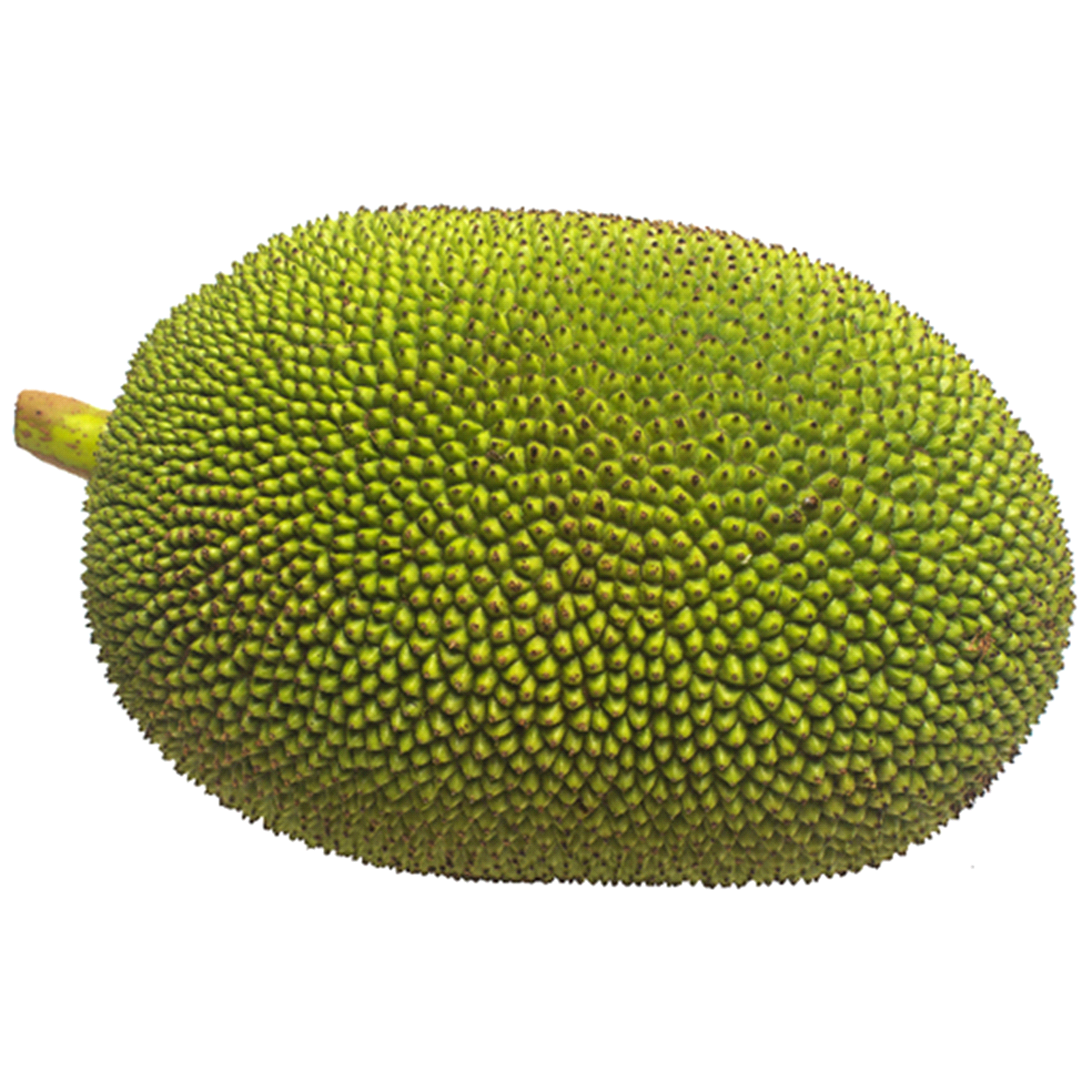Jackfruit (কাঁঠাল)-kathal 7- 8kg-image-0