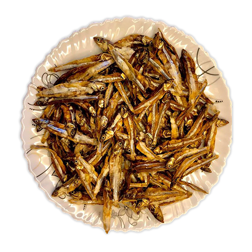 Chela  Fish-image-0