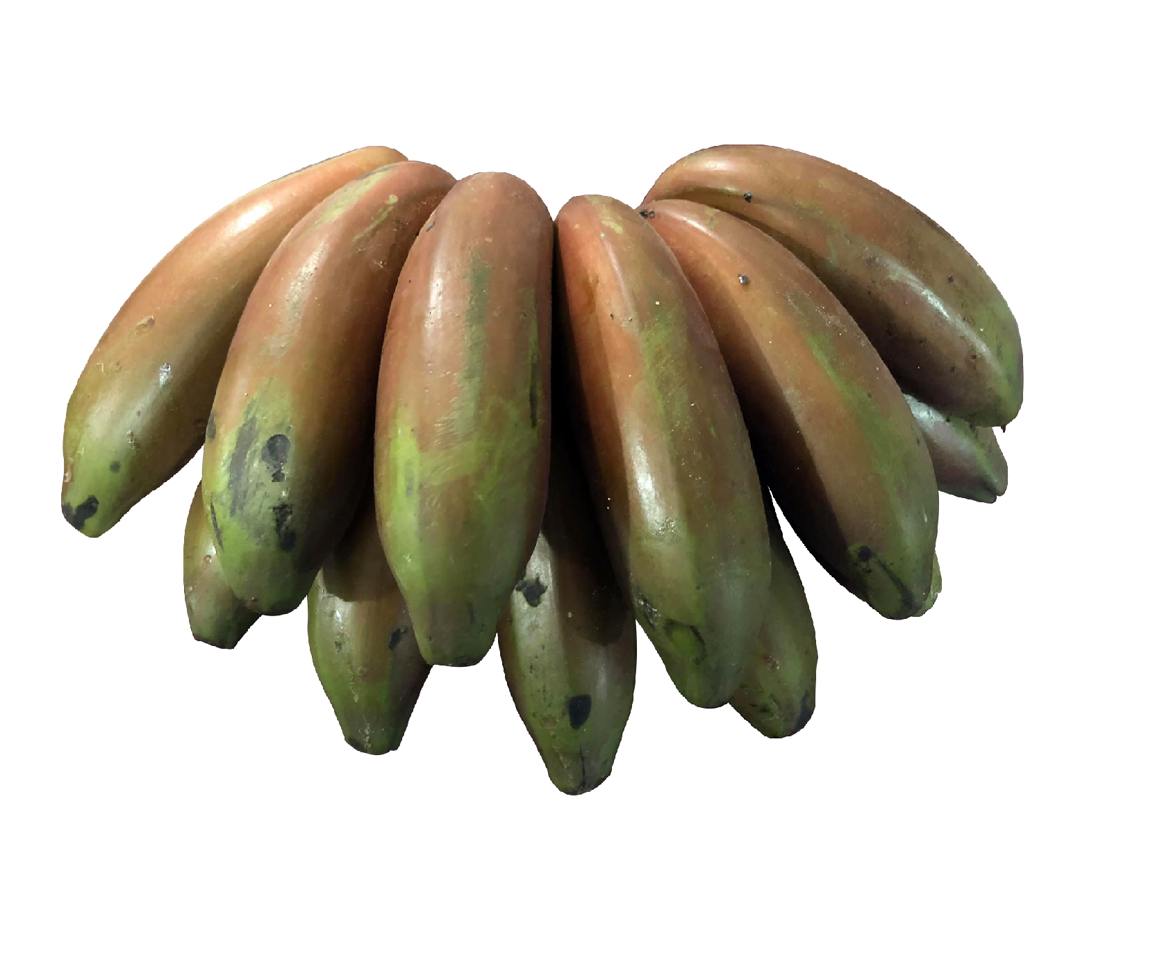 Agnisshor Banana Red (Medium)-image-0