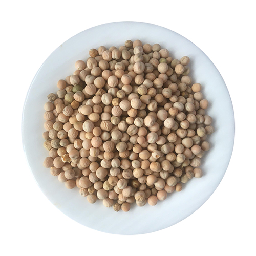 Motor dal (Zum Chas)-image-0