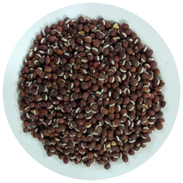Shimer Bichi Lal-Bean Sprouts Red-image-0