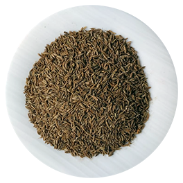 Jeera (Cumin) Turkey-image-0