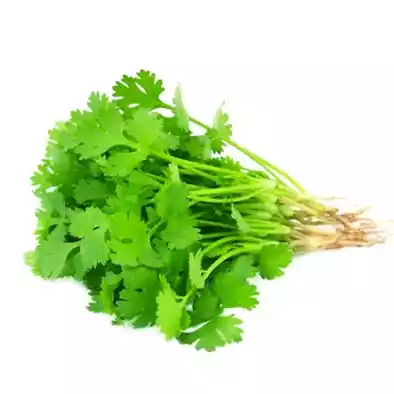 Dhonepata-Coriander Leaves-image-0