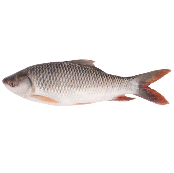 Rui-Fish-River-image-0