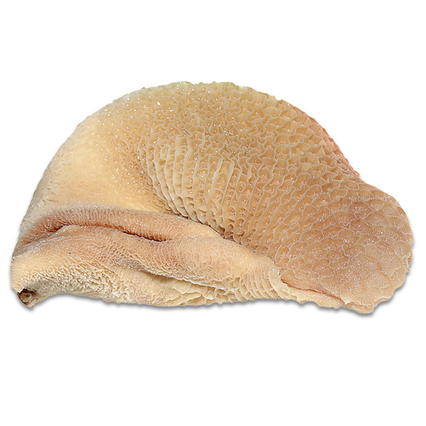 Beef Stomach & Intestine (Vuri) 1kg-image-0