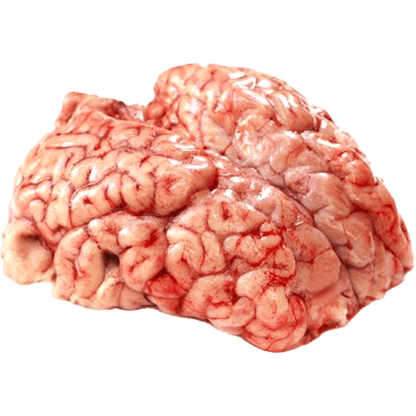 Beef Brain (Mogoj)-image-0
