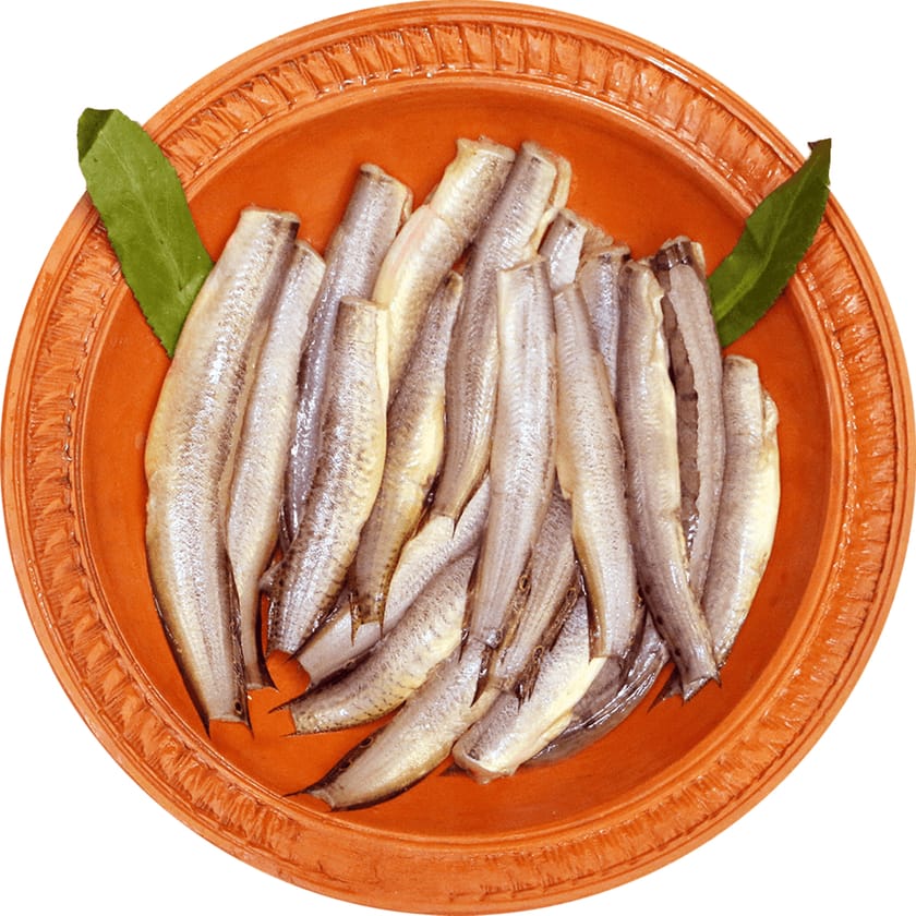 Baim Fish big-image-0