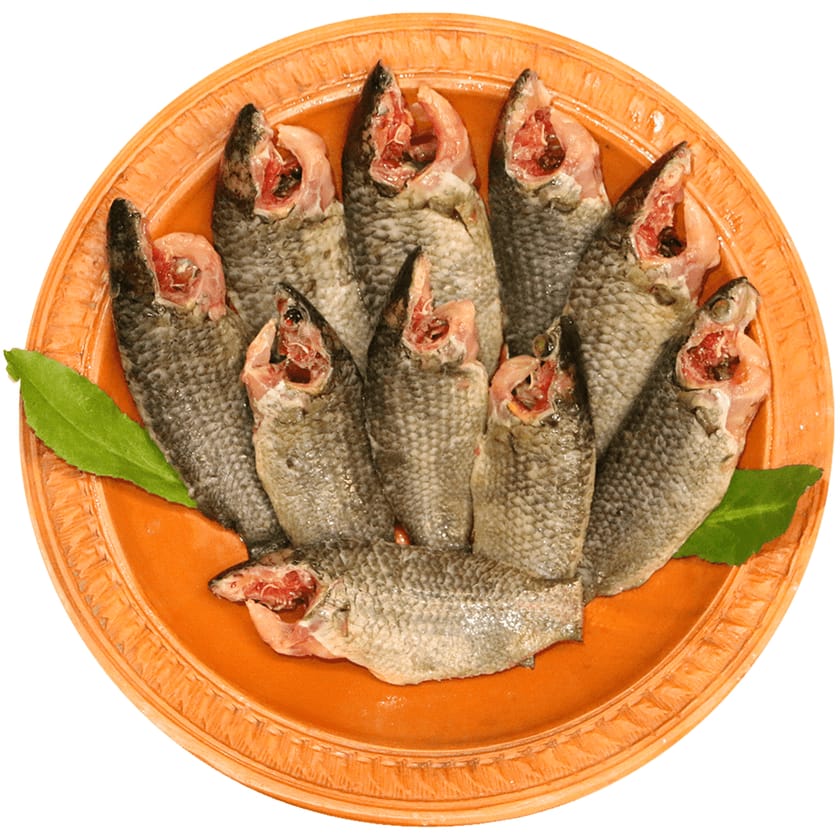 Koi Fish (Haor) (12-14pc)-image-0