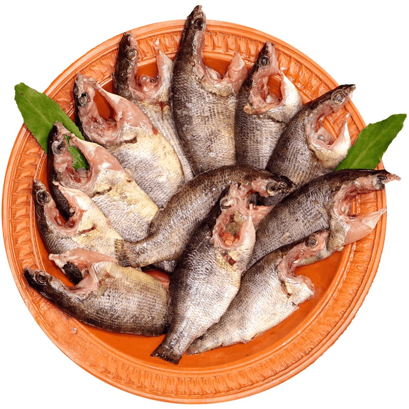 Meni-Fish-image-0