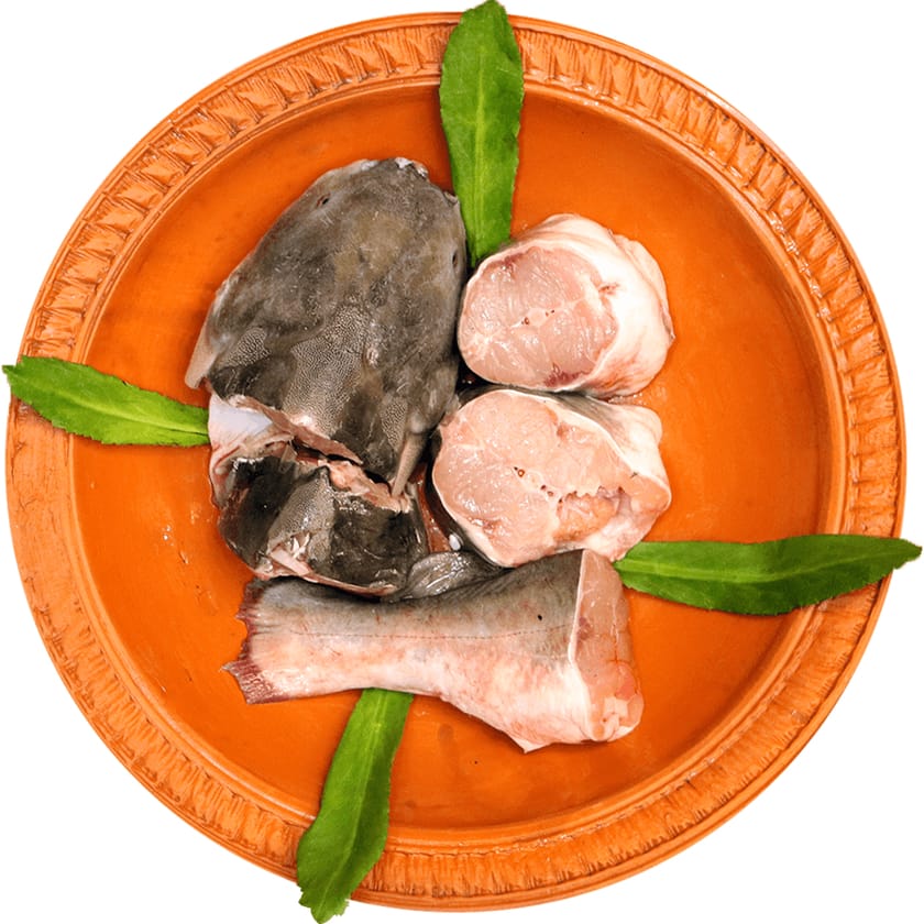 Ritha Fish-image-0