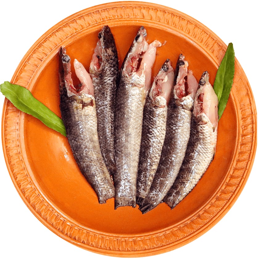 Taki Fish-image-0