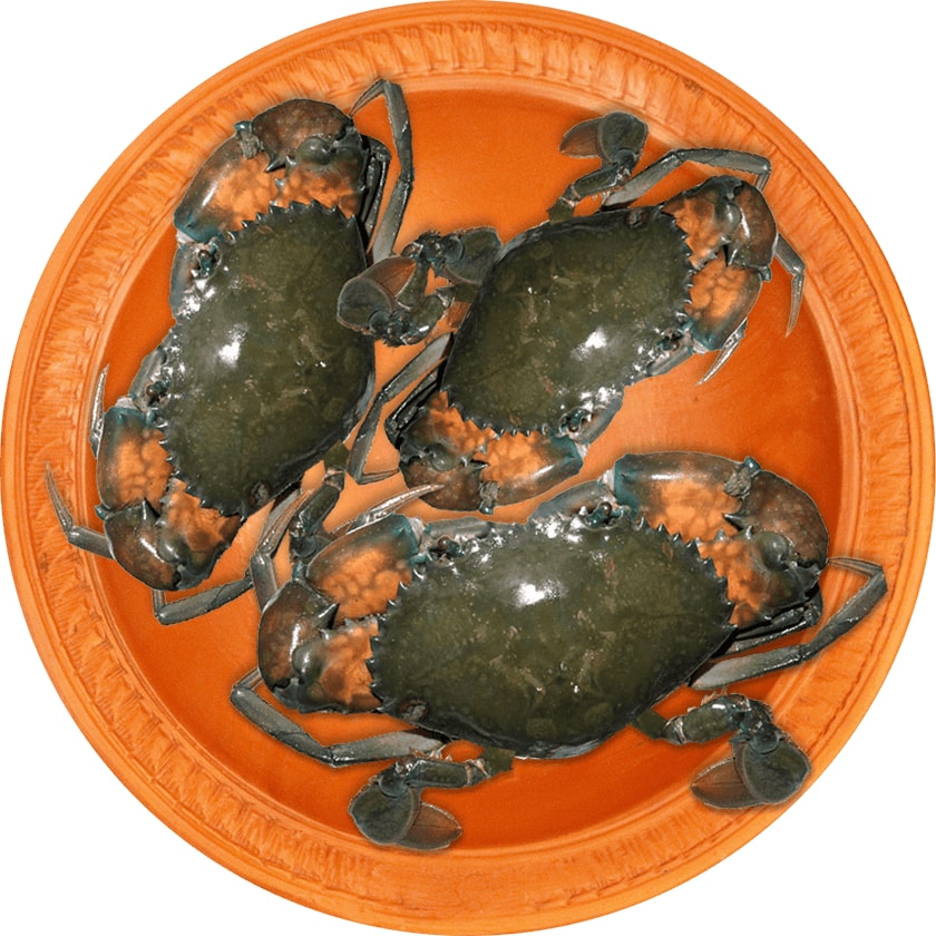 Crab-Kakra-image-0