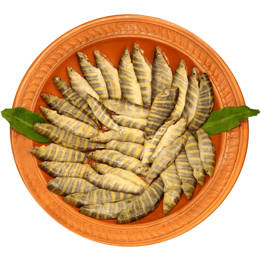 Rani Fish-image-0