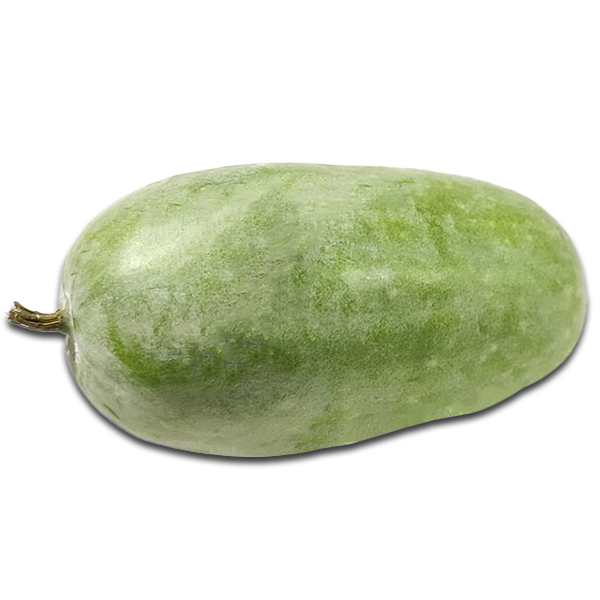 Jali Kumro-Water Pumpkin-image-0