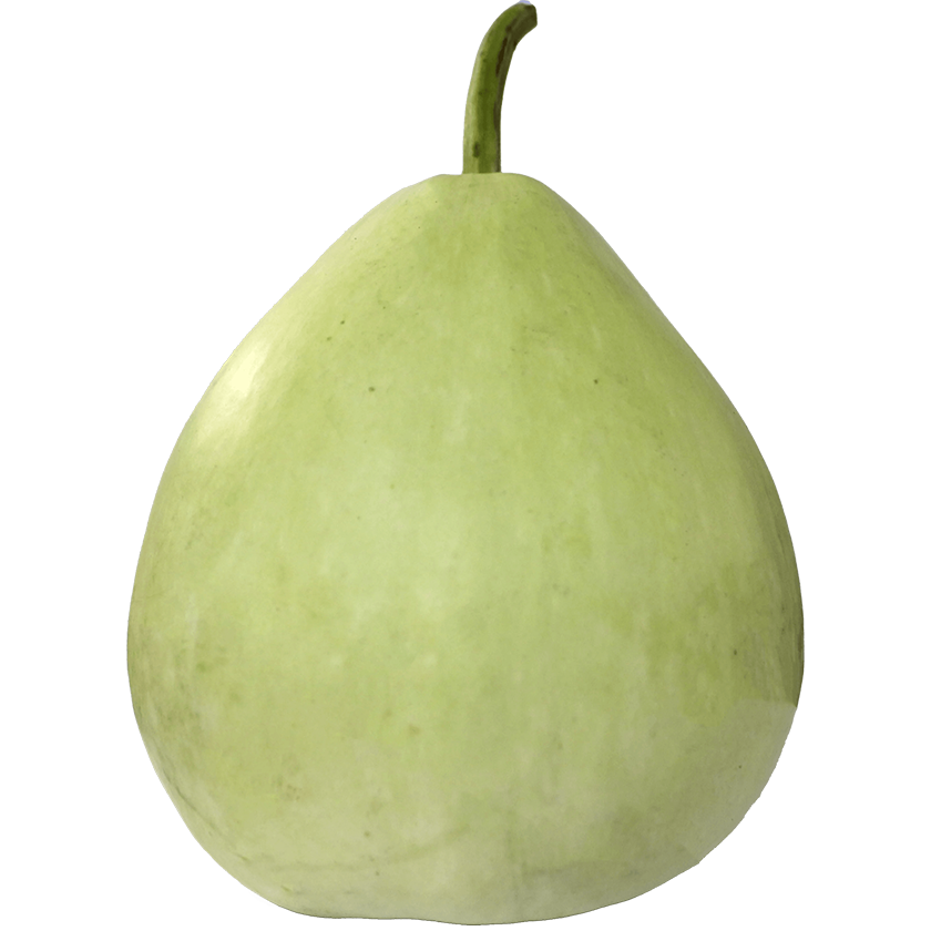 Lau-Gourd-Zum Chas-image-0