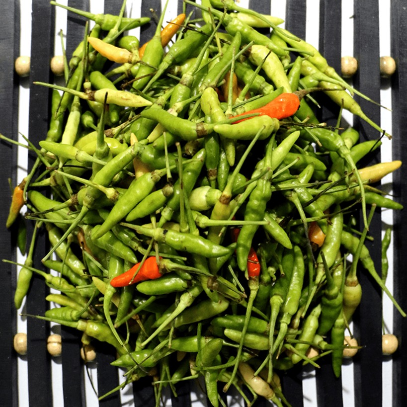 Dhani-Morich-Chili-Pahari-image-0