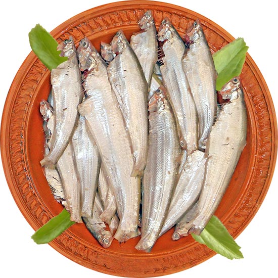 Faissa Fish-image-0