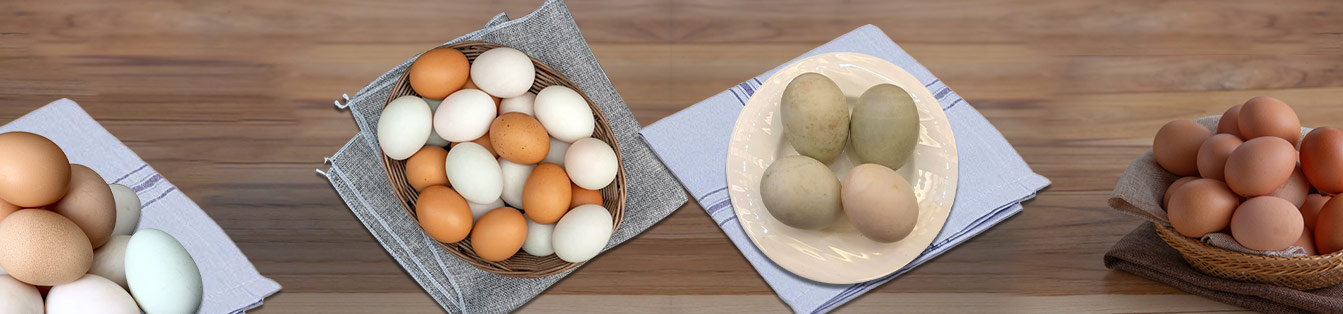 Egg