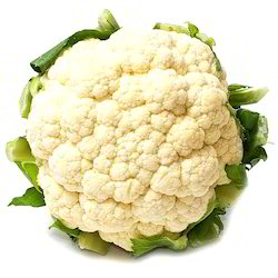 Cauliflower (Fulcopi)-image-0