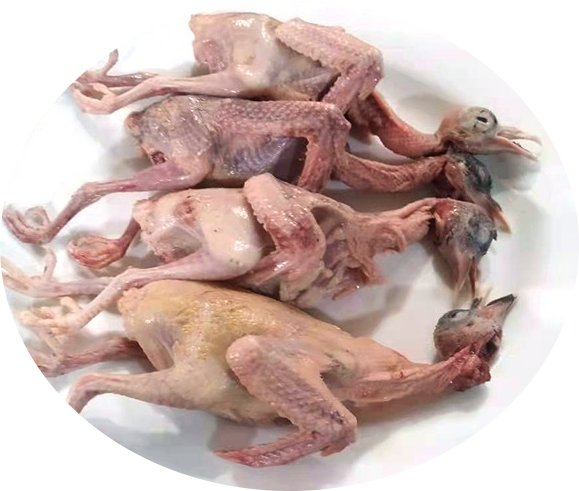 Kobutor-Pigeon-Meat (2pc)-image-0