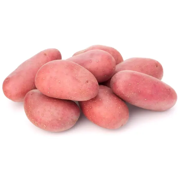 Potato Red-image-0