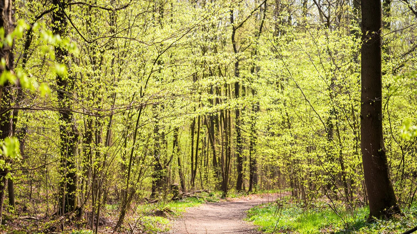 Spring Background 42 - Free virtual background for Zoom, Teams & Google Meet