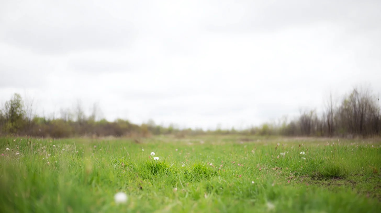 Spring Background 84 - Free virtual background for Zoom, Teams & Google Meet